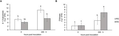 Proteomic Analysis of Fusarium oxysporum-Induced Mechanism in Grafted Watermelon Seedlings